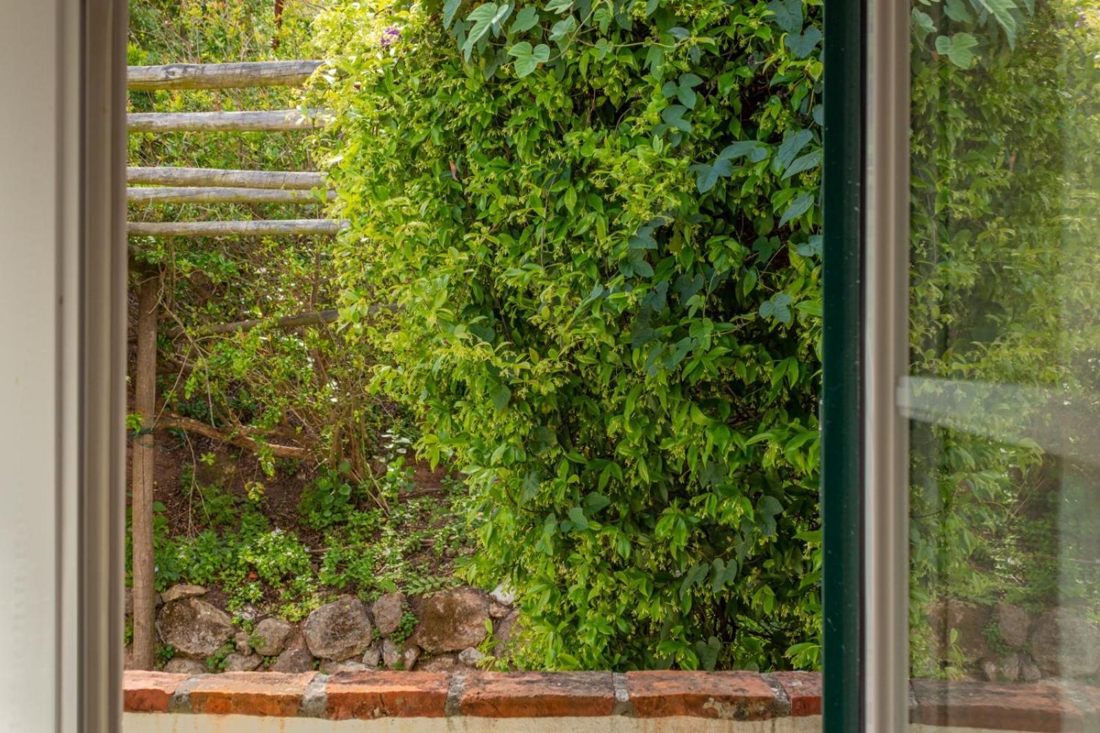 Casa Da Adoa B&B Портіню-да-Аррабіда Номер фото